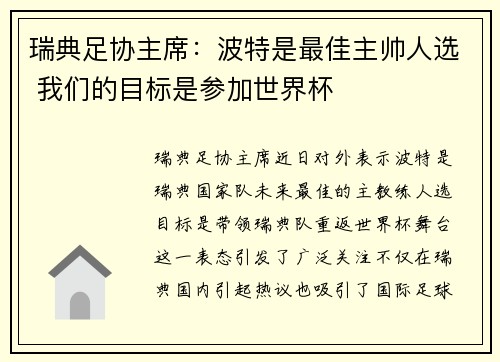 瑞典足协主席：波特是最佳主帅人选 我们的目标是参加世界杯